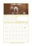 Calendar 2013, january.