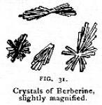 Fig. 31. Crystals of Berberine