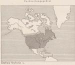 Karte: Baptisia Tinctoria