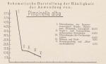 Schema: Pimpinella Alba