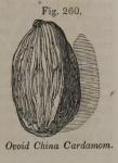 Fig. 260. Ovoid China Cardamom.