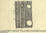 Fig. 141. Guaiacum - Cross-section of wood.