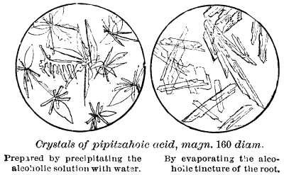 Crystals of pipitzahoic acid.