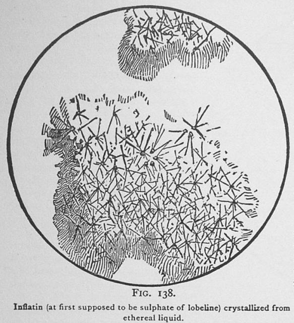 Fig. 138. Inflatin crystallized from ethereal liqu...