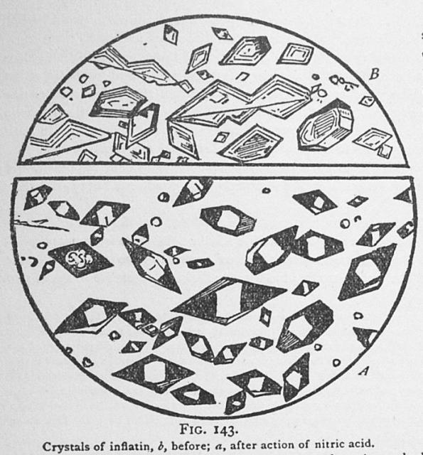 Fig. 143. Crystals of inflatin