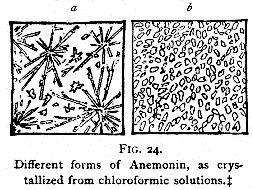 Fig. 24. Different forms of Anemonin