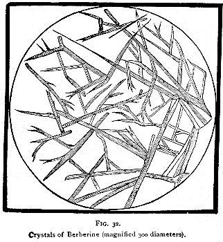 Fig. 32. Crystals of Berberine