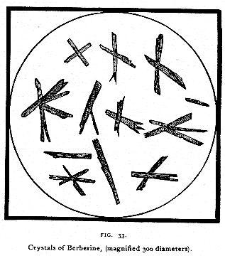 Fig. 33. Crystals of Berberine