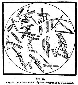 Fig. 37. Crystals of di-berberine sulphate