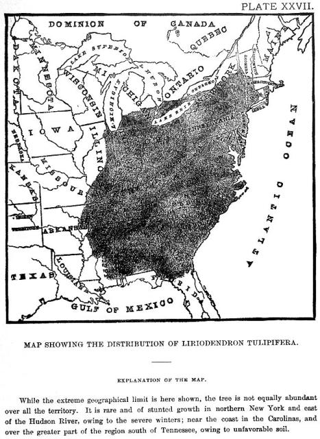 Plate 27. Map showing the distribution of Lirioden...