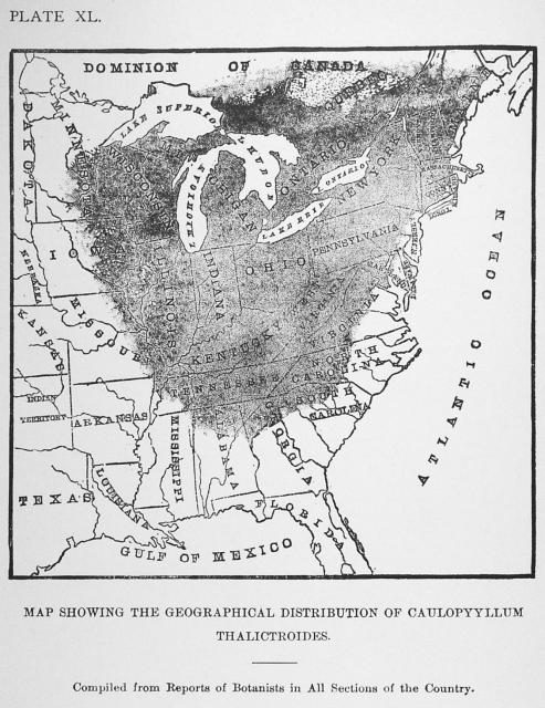 Plate 40. Map showing the geographical distributio...