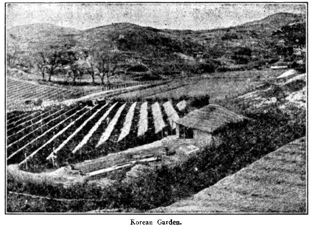 Fig. 17. Korean Garden.