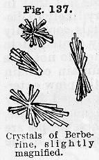 Fig. 137. Crystals of Berberine, slightly magnifie...