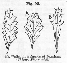 Fig. 092. Mr. Wellcome's figures of Damiana.