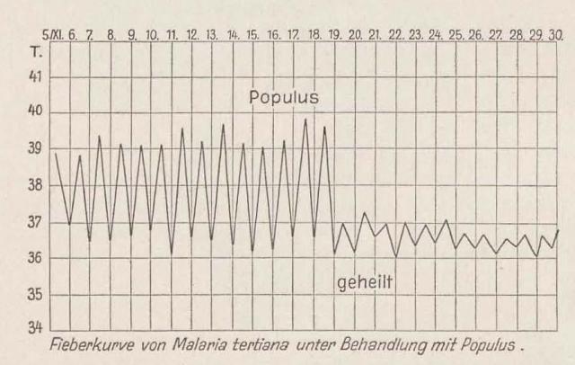 Madaus Bild Populus