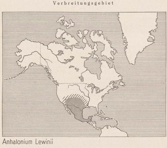 Madaus Karte Anhalonium Lewinii