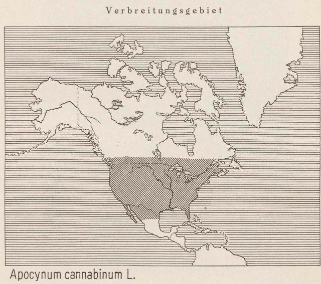 Madaus Karte Apocynum Cannabinum