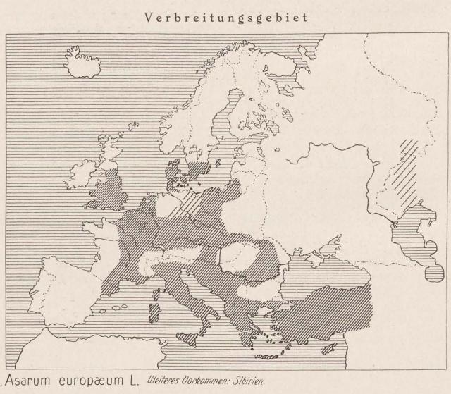 Madaus Karte Asarum Europaeum