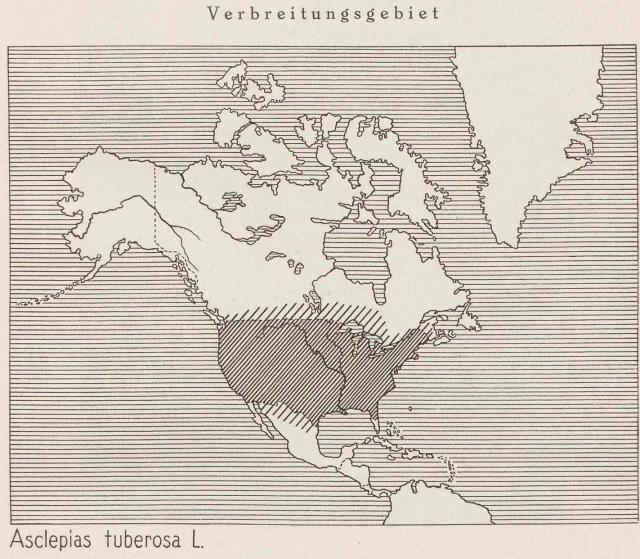 Madaus Karte Asclepias Tuberosa