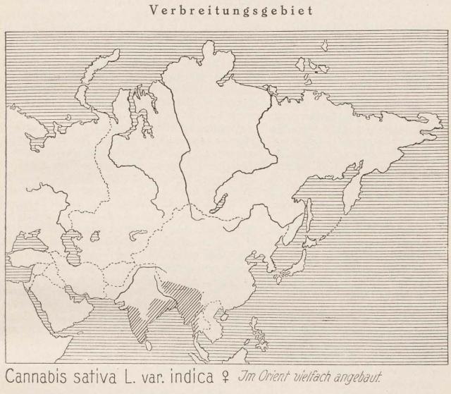 Madaus Karte Cannabis Sativa Indica