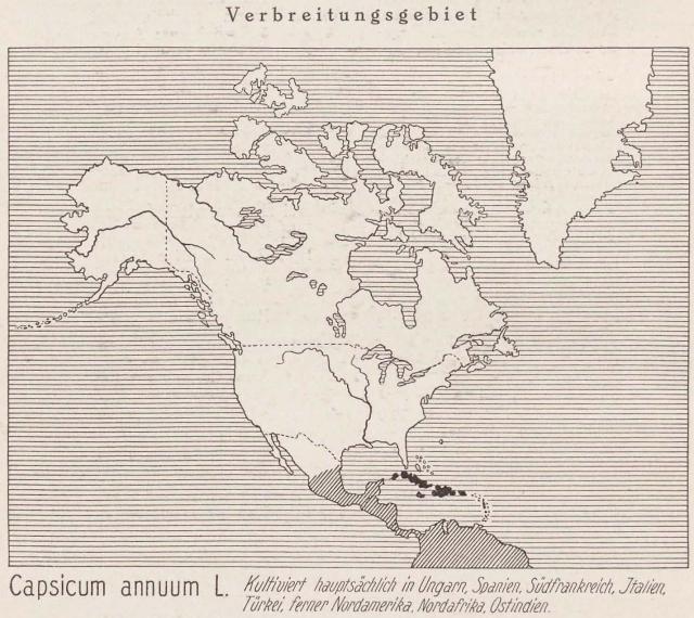 Madaus Karte Capsicum Annuum