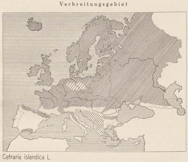 Madaus Karte Cetraria Islandica