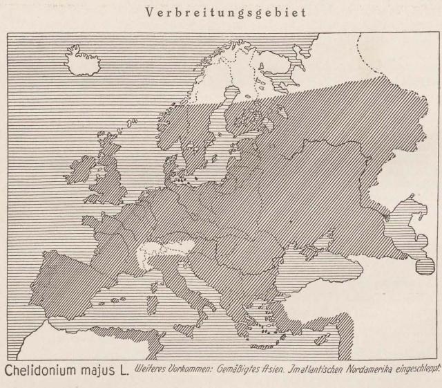 Madaus Karte Chelidonium Majus