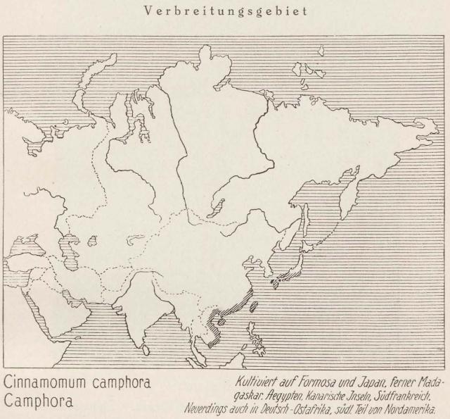 Madaus Karte Cinnamomum Camphora