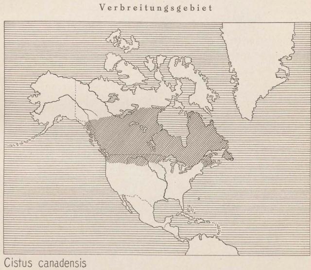 Madaus Karte Cistus Canadensis