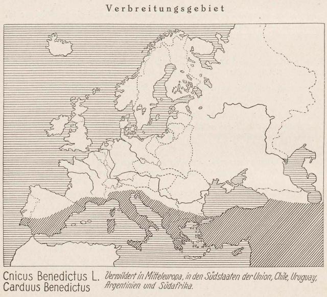 Madaus Karte Cnicus Benedictus