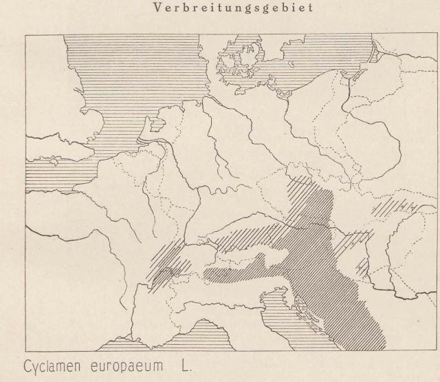 Madaus Karte Cyclamen Europaeum