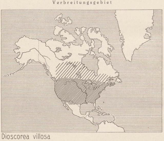 Madaus Karte Dioscorea Villosa