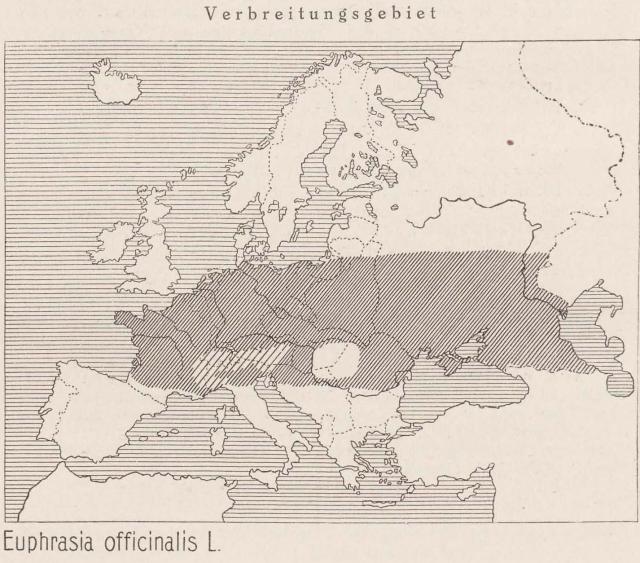 Madaus Karte Euphrasia Officinalis