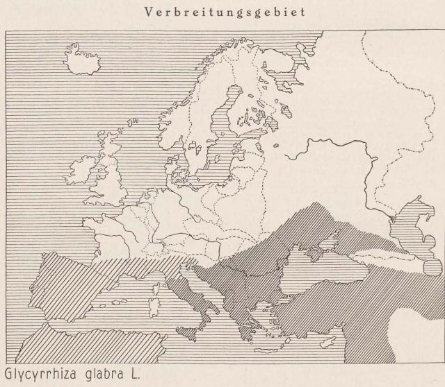 Madaus Karte Glycyrrhiza Glabra