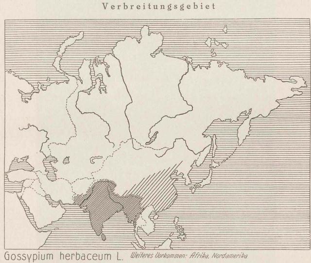 Madaus Karte Gossypium Herbaceum