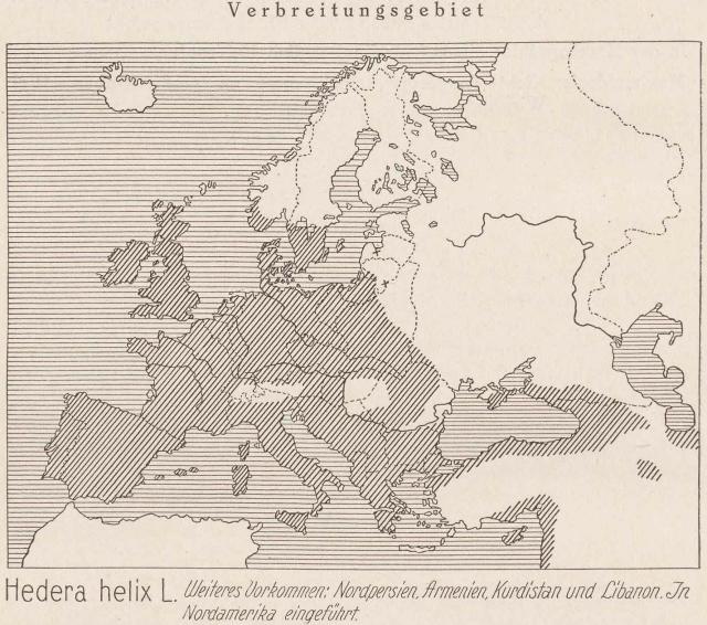 Madaus Karte Hedera Helix