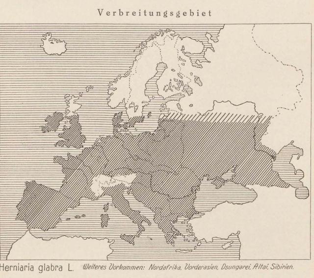 Madaus Karte Herniaria Glabra