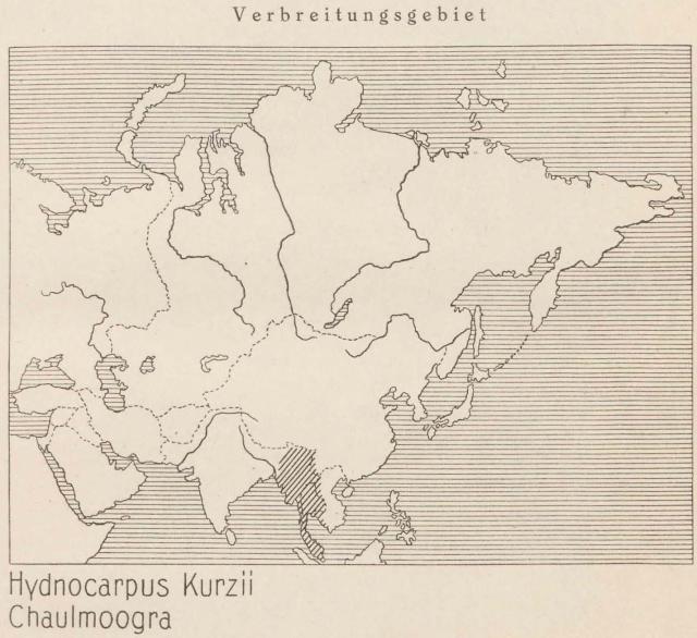 Madaus Karte Hydnocarpus Kurzii