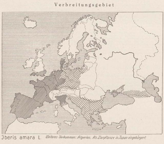 Madaus Karte Iberis Amara