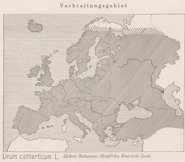 Madaus Karte Linum Catharticum