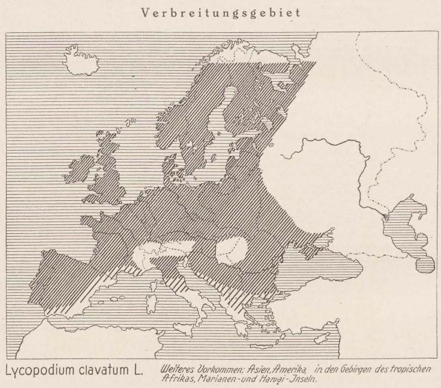 Madaus Karte Lycopodium Clavatum