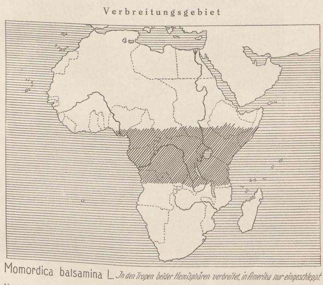 Madaus Karte Momordica Balsamina