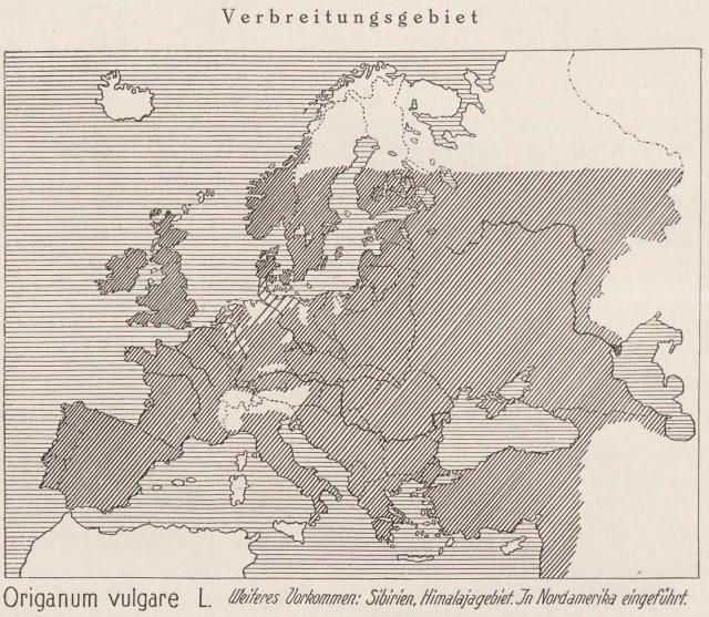 Madaus Karte Origanum Vulgare