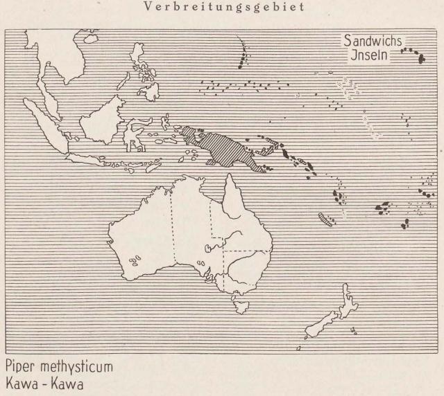 Madaus Karte Piper Methysticum