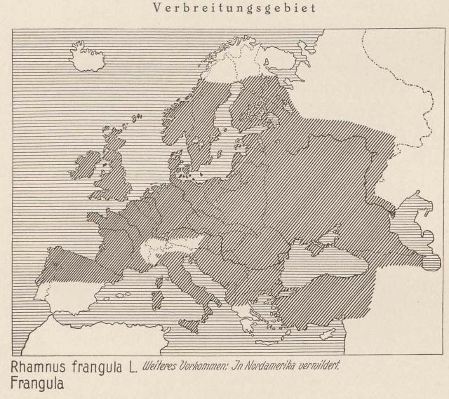 Madaus Karte Rhamnus Frangula