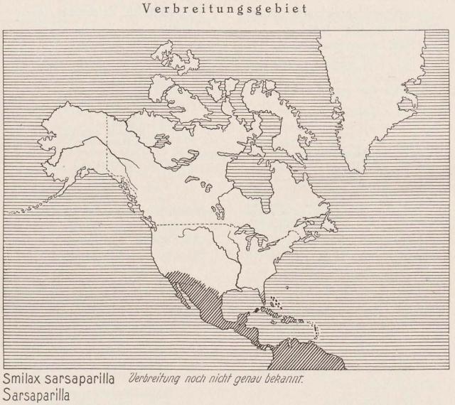 Madaus Karte Smilax Sarsaparilla