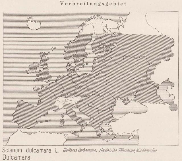 Madaus Karte Solanum Dulcamara