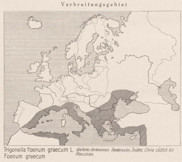 Madaus Karte Trigonella Foenum Graecum