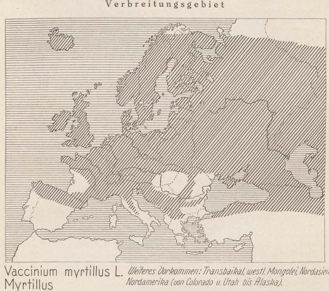 Madaus Karte Vaccinium Myrtillus