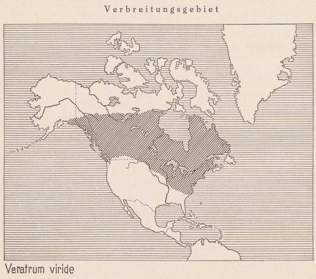 Madaus Karte Veratrum Viride